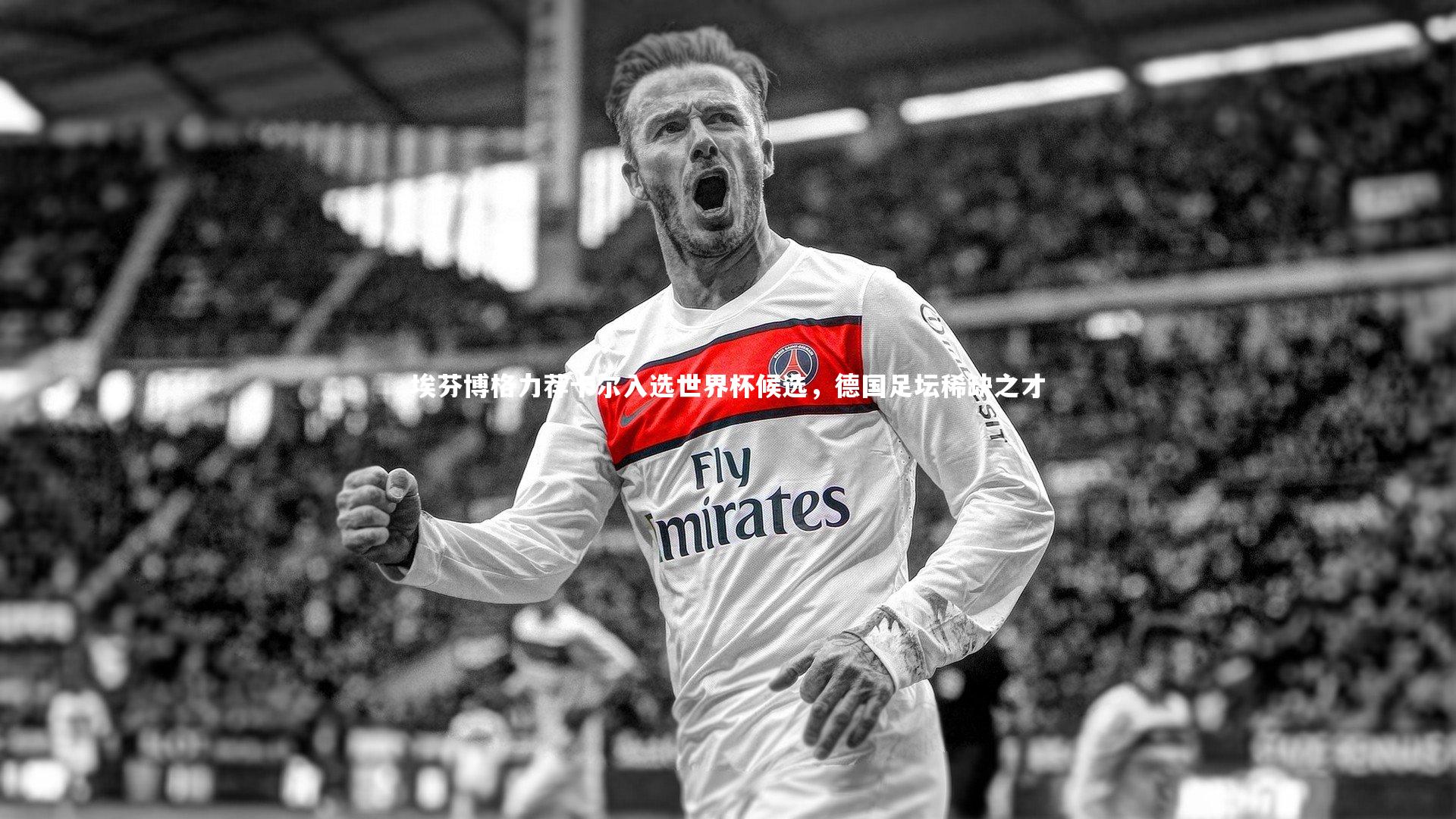 埃芬博格力荐卡尔入选世界杯候选，德国足坛稀缺之才